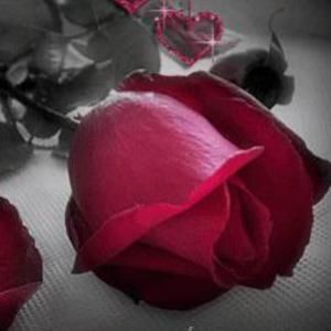 Meet your Posher, Darene